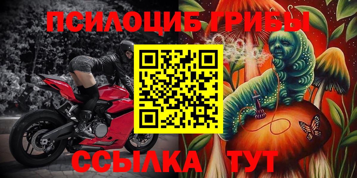 Псилоцибиновые грибы прущие грибы Грозный