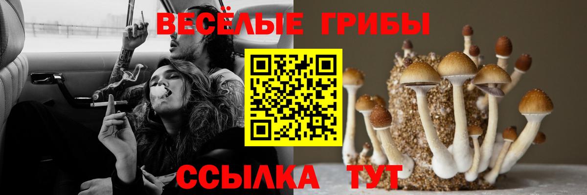 Грозный  где можно купить наркотик  Вход с VPN  Галлюциногенные грибы Magic Shrooms 